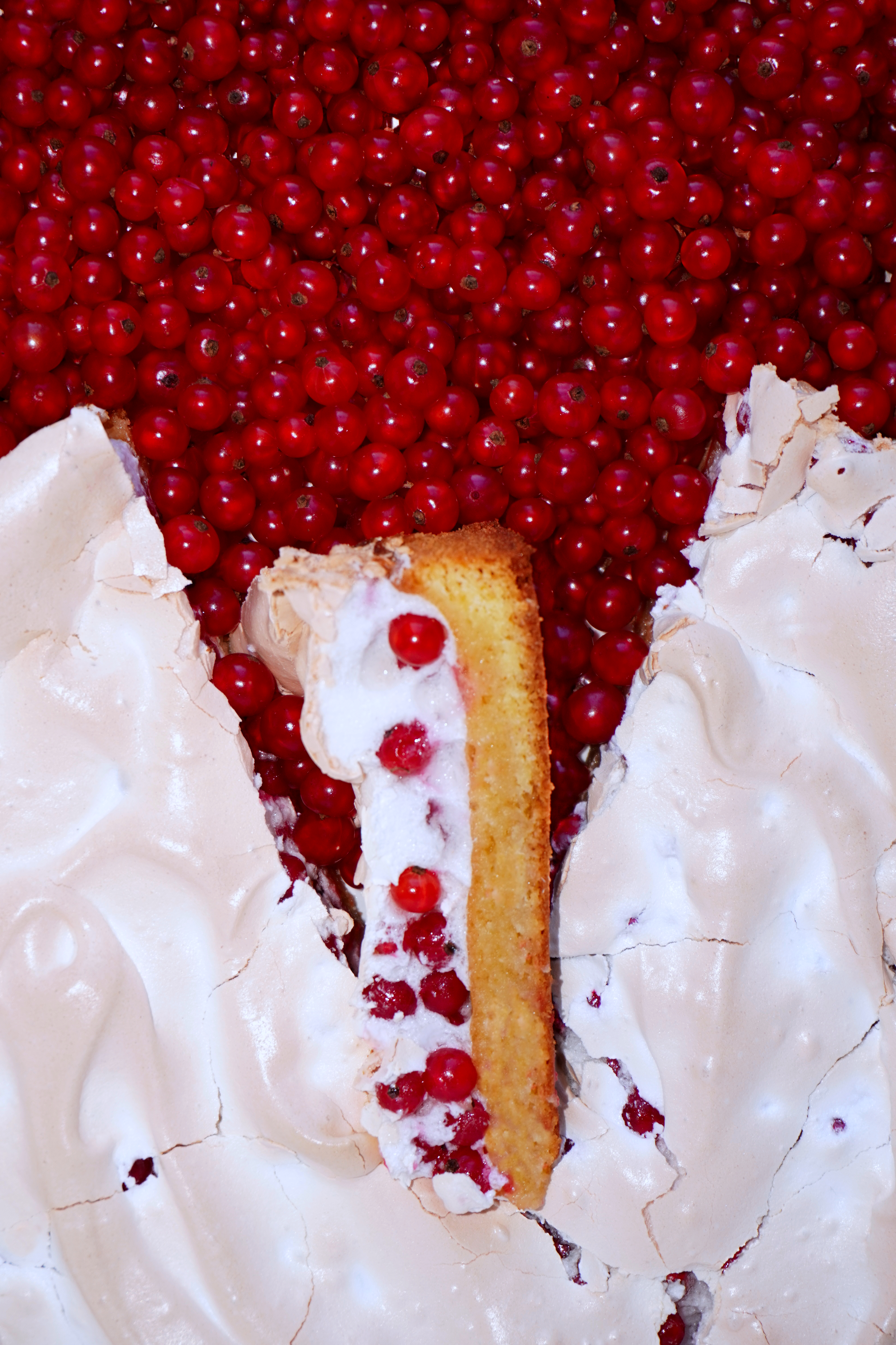 Ribiselschaumschnitte